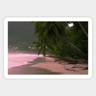 Morning Light on Tropical Coast Sticker